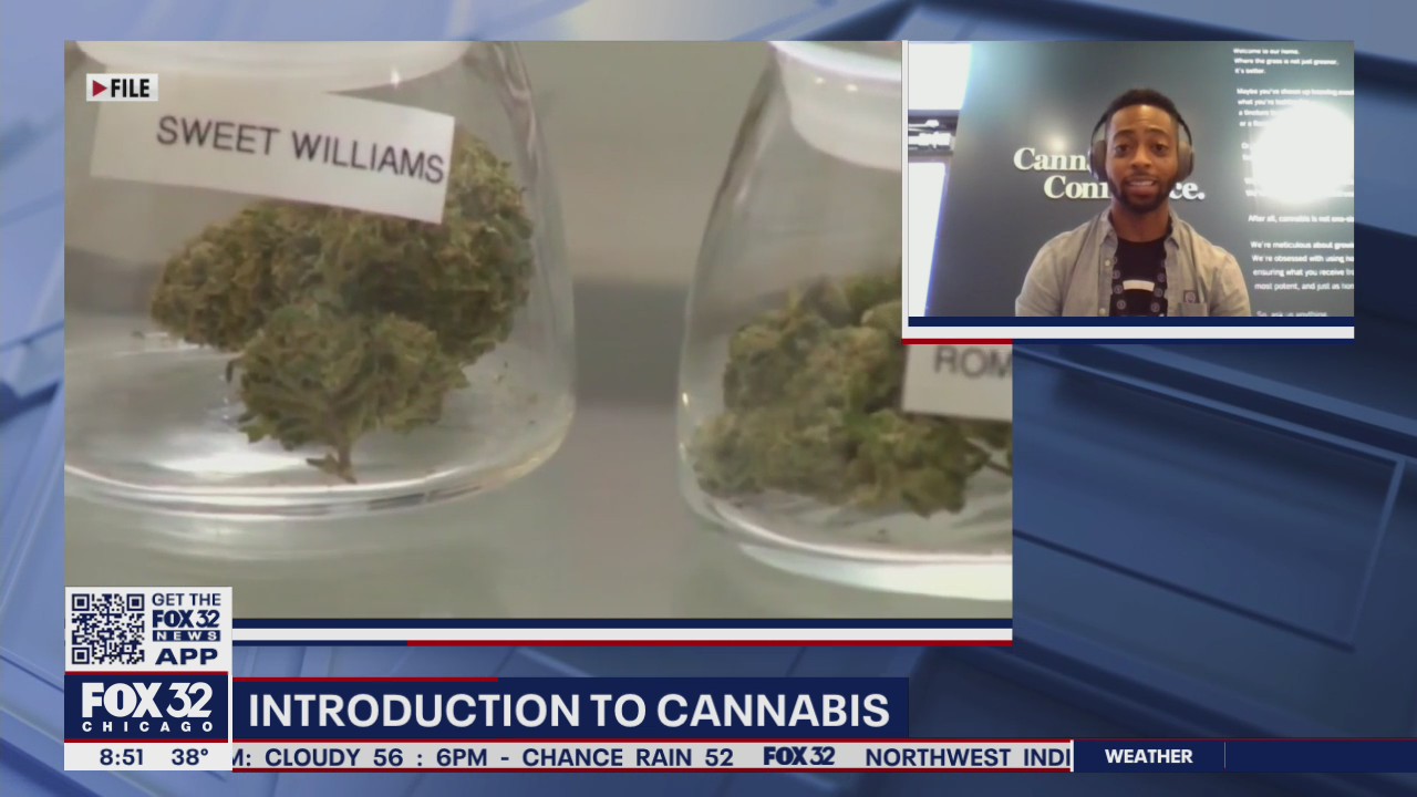 Illinois pot shops embrace rush of 4/20 business