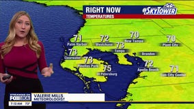 Tampa Weather | Breezy with scattered showers