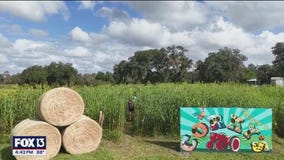 FOX 13 takes flight over Keel Farms