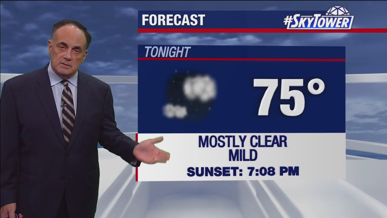 Tampa weather | Mostly clear conditions and mild temps
