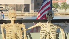 Tampa Pirate Water Taxi on FOX 13's Charley's World