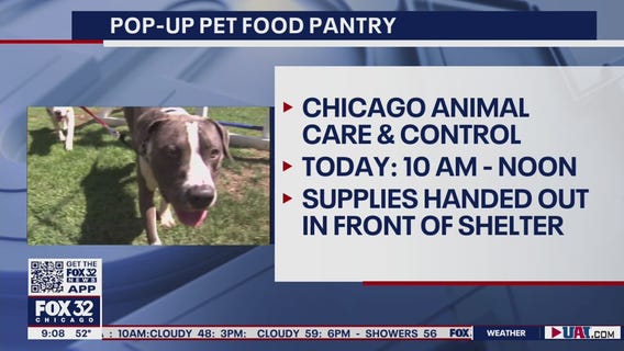 Free pet food, supplies available Friday at Pilsen pop-up