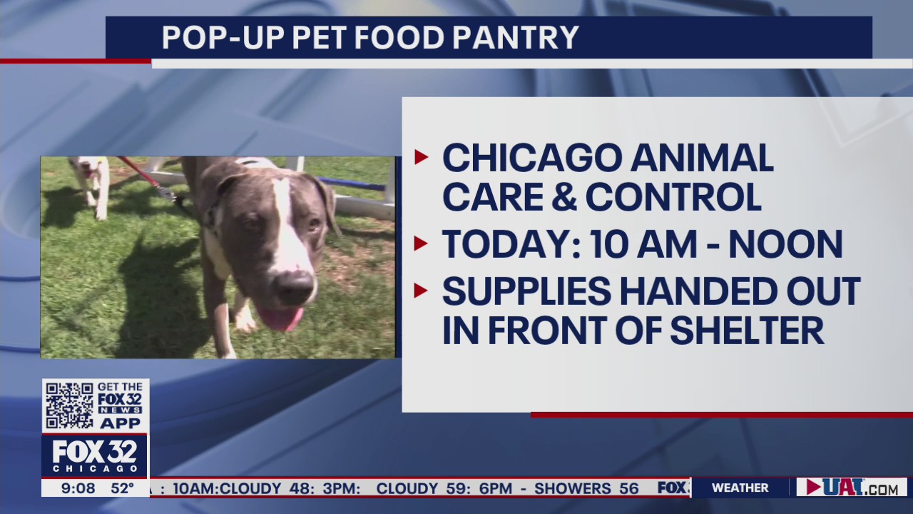 Free pet food, supplies available Friday at Pilsen pop-up