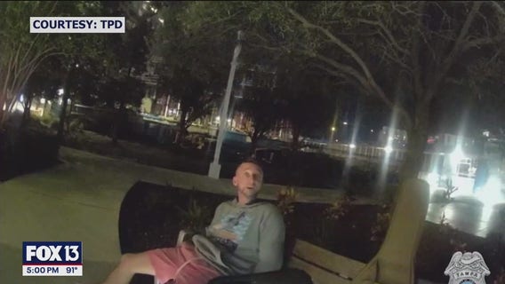 Suspect killed by car after running from officers