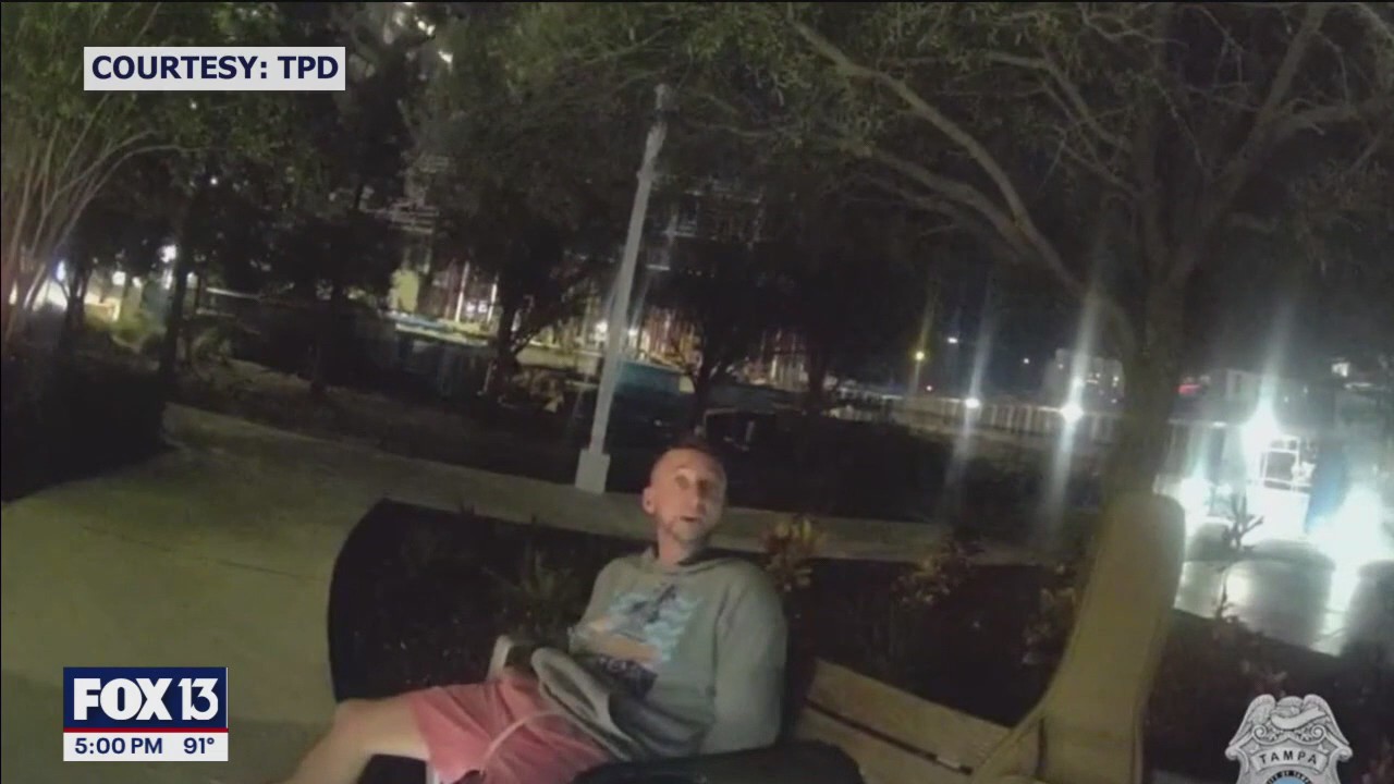 Suspect killed by car after running from officers