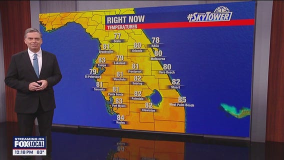 Tampa weather | Sunny conditions on Monday