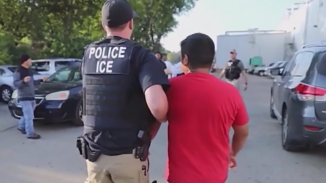 State immigration dashboard published