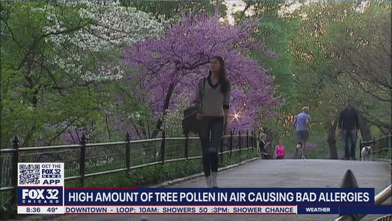 Midwest slammed by strong allergy season