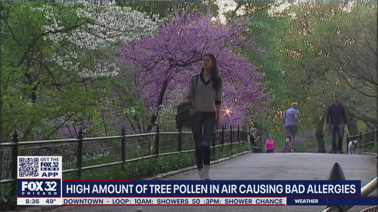 Midwest slammed by strong allergy season