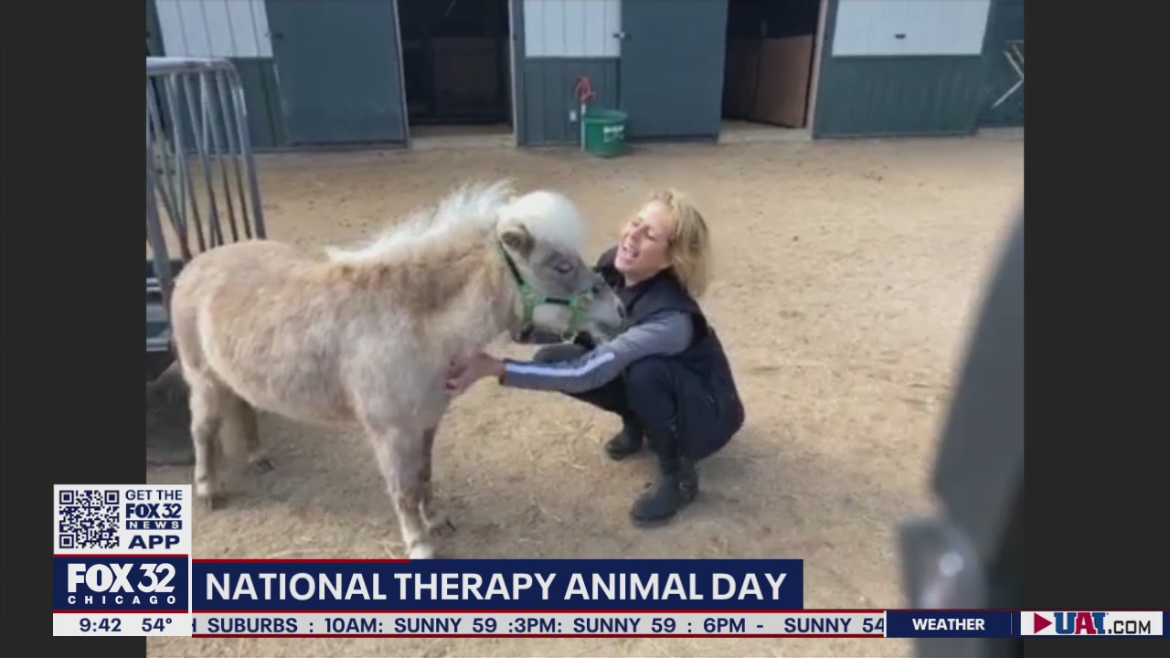 Barrington nonprofit provides animal therapy for those seeking comfort