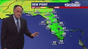 Tampa Weather | Delightful stretch of weather