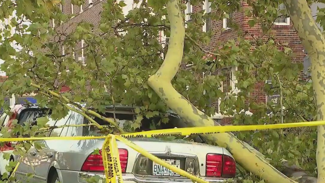 Storms down trees, knock out power in Brooklyn