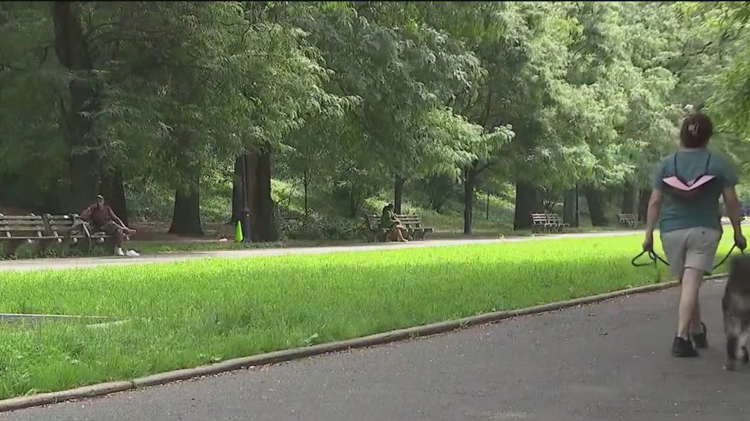 2 NYC attempted rapes prompt safety concerns