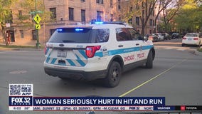 Police investigating Lake View hit-and-run that left woman seriously injured