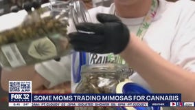 Marijuana gaining popularity as stress reliever among mothers