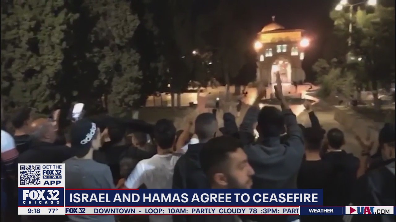 Ceasefire 'a step in the right direction' but more work to be done: Robert Fakhouri