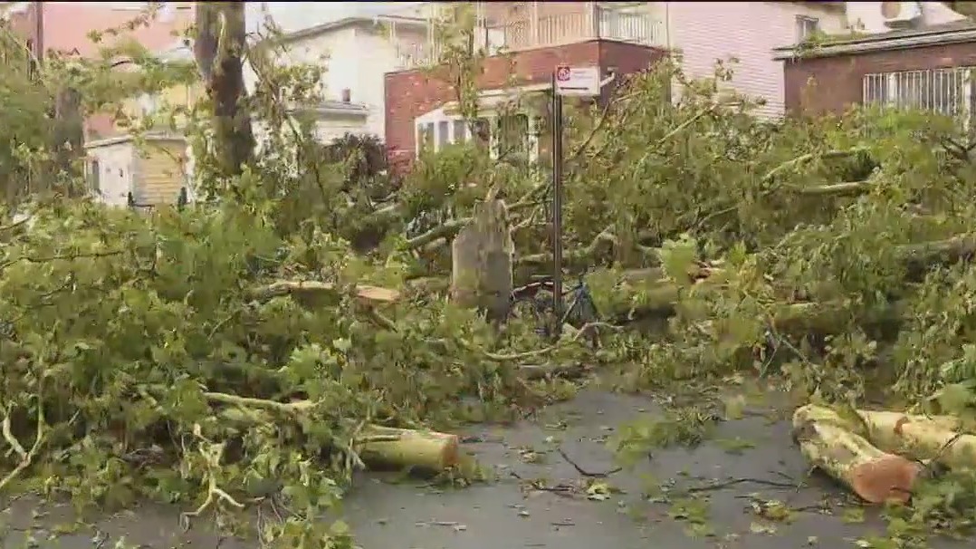 Brooklyn 'microburst' tears through area