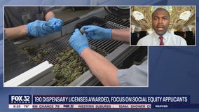 New state bill evens the playing field for Black entrepreneurs in cannabis industry