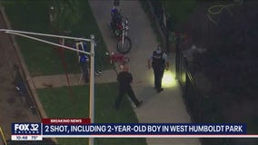 2 shot, including toddler on Chicago's West Side