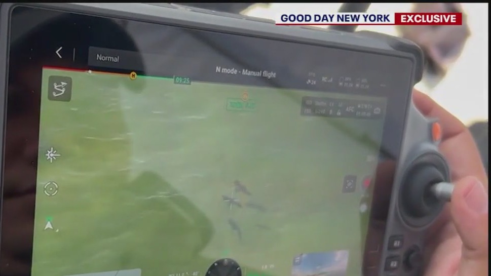 Exclusive: Sharks spotted at Rockaway Beach