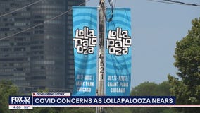 COVID-19 concerns as Lollapalooza nears