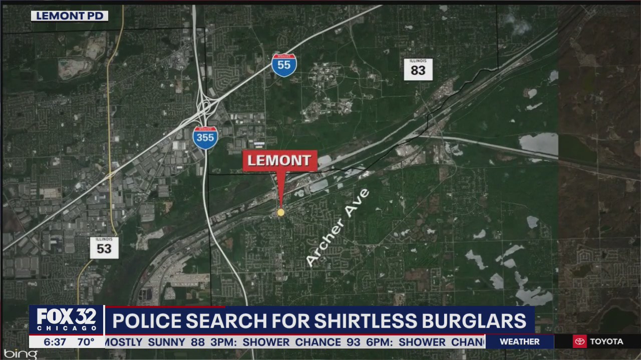 Police search for shirtless burglars
