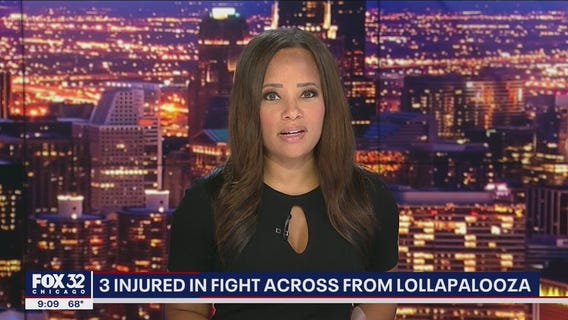 3 injured in fight across from Lollapalooza