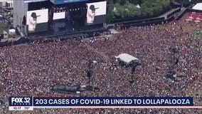 203 cases of COVID linked to Lollapalooza