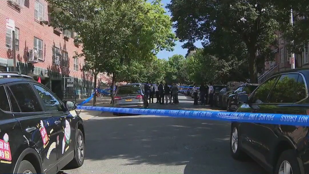 Deadly Brooklyn hammer attack