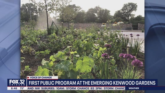 Rebuild Foundation sprouts new life into Kenwood Gardens