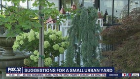Fall gardening tips for small urban yards