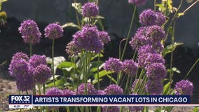 Artists transform vacant lots in Chicago
