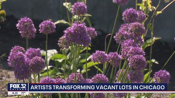Artists transform vacant lots in Chicago