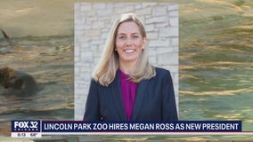 Lincoln Park Zoo names Megan Ross as new president