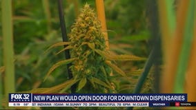 Plan to allow more pot shops downtown advances to City Council