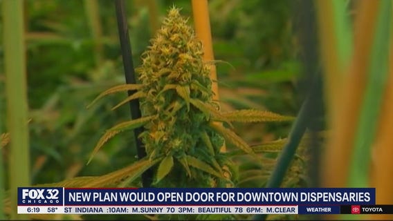 Plan to allow more pot shops downtown advances to City Council