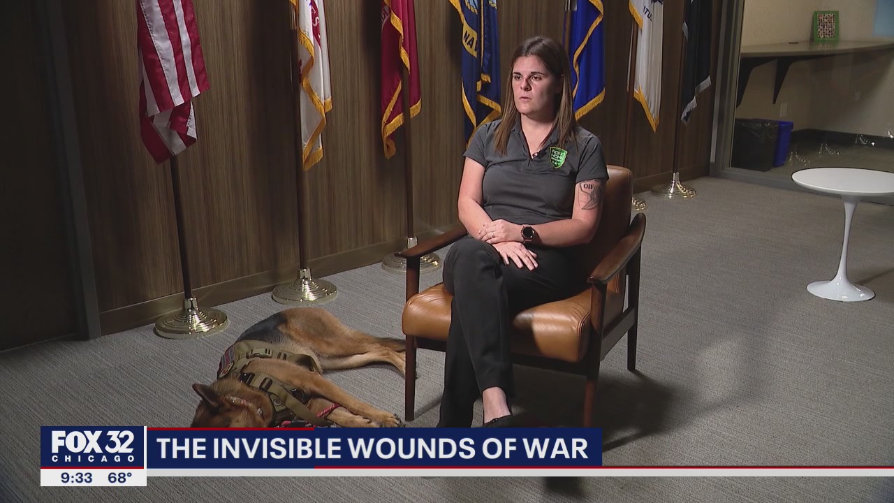 The Invisible Wounds of War