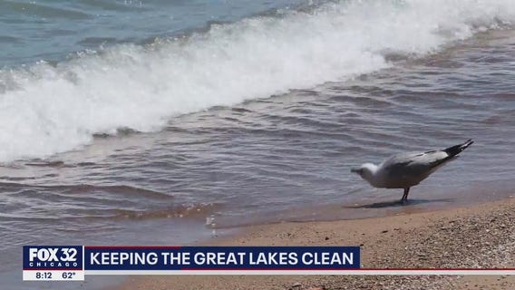 Shedd Aquarium hosting cleanup efforts along lakefront