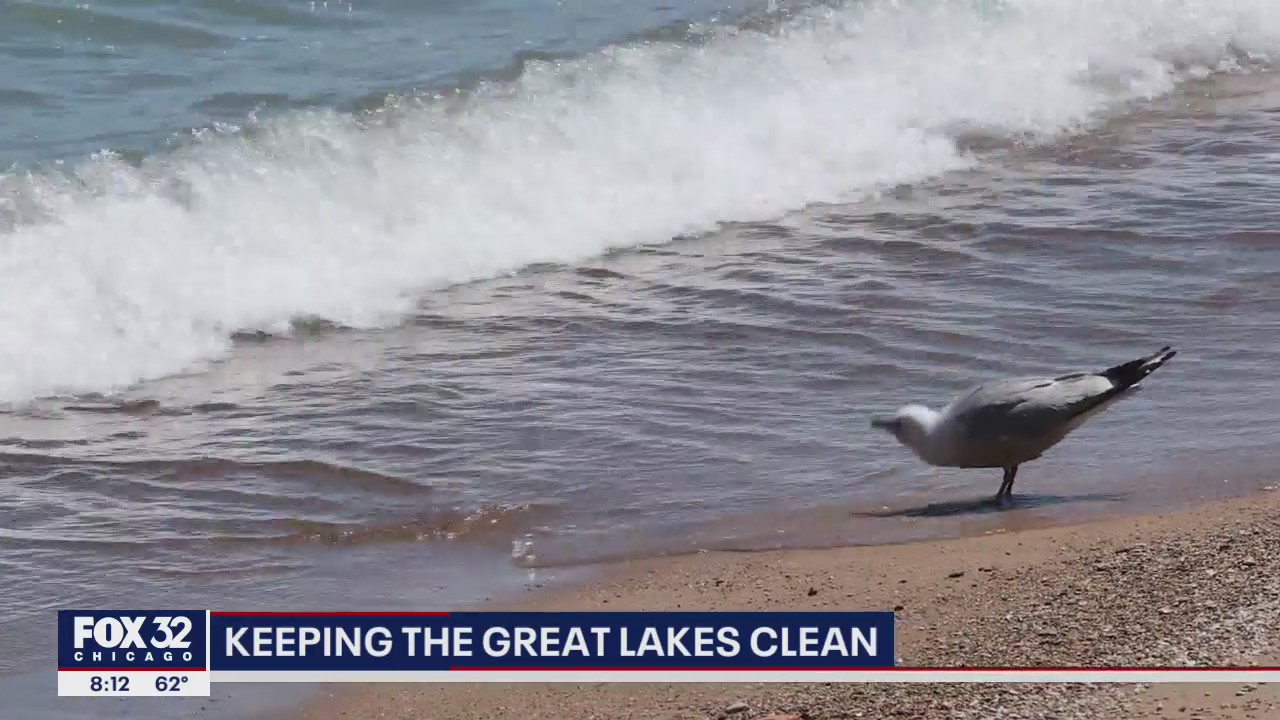Shedd Aquarium hosting cleanup efforts along lakefront