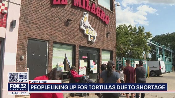 People lining up for tortillas in Little Village due to shortage