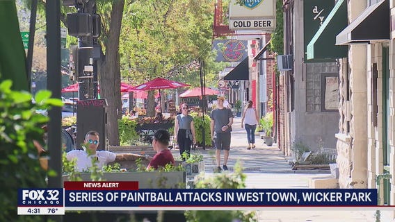 Series of paintball attacks in West Town, Wicker Park