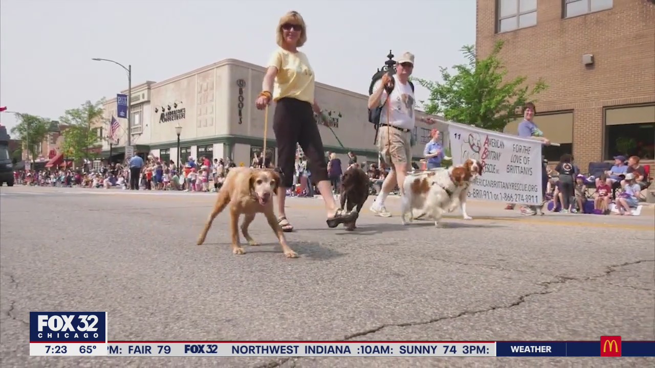 75th annual Pet Parade returns this weekend to La Grange