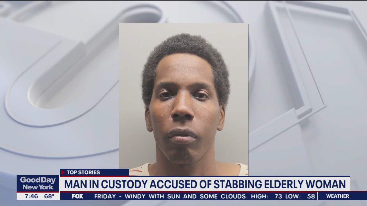Man in custody accused of stabbing elderly woman