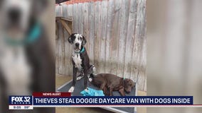 Thieves steal doggie daycare van in Lake View with dogs inside