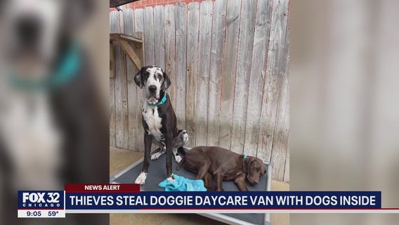 Thieves steal doggie daycare van in Lake View with dogs inside