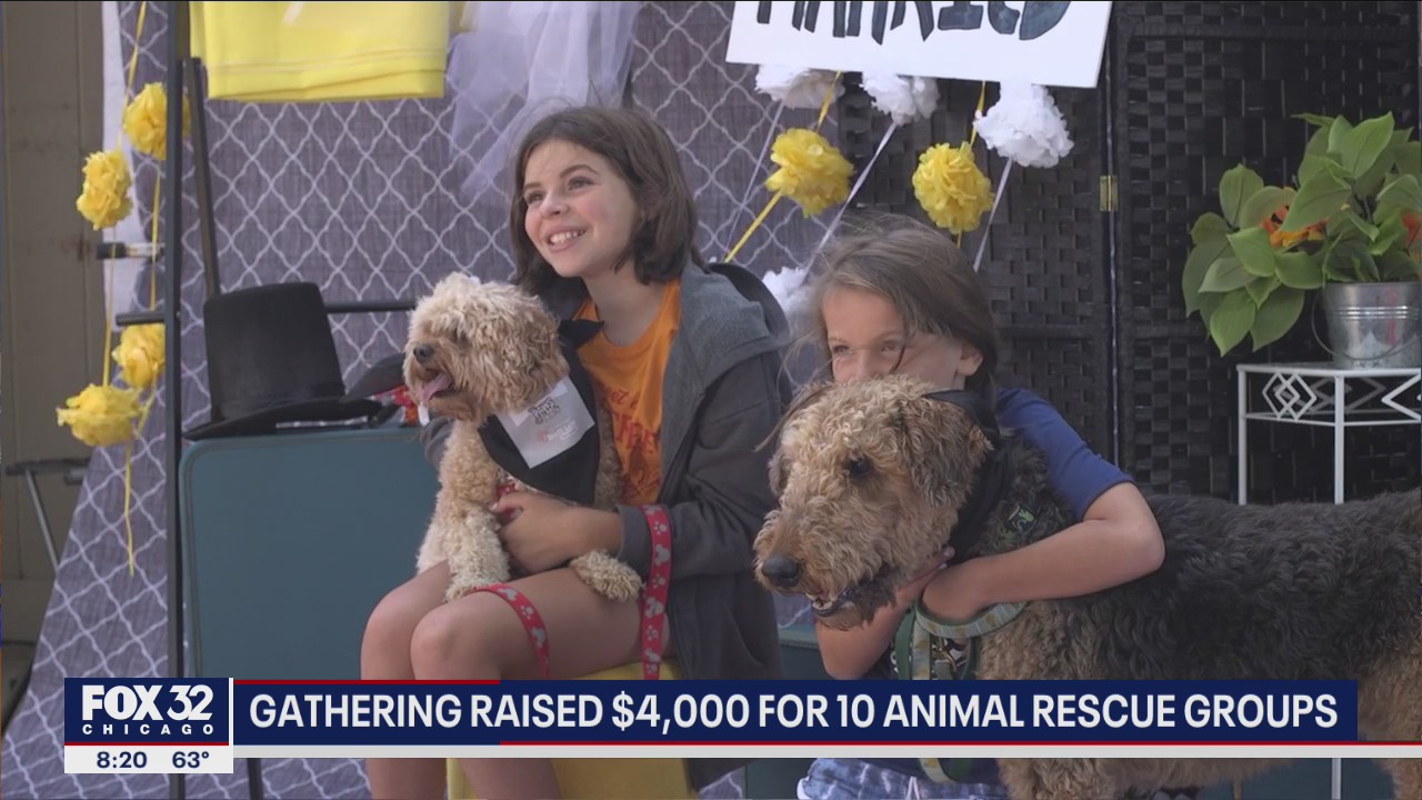 Pups say 'I do' in Villa Park to raise money for local shelters