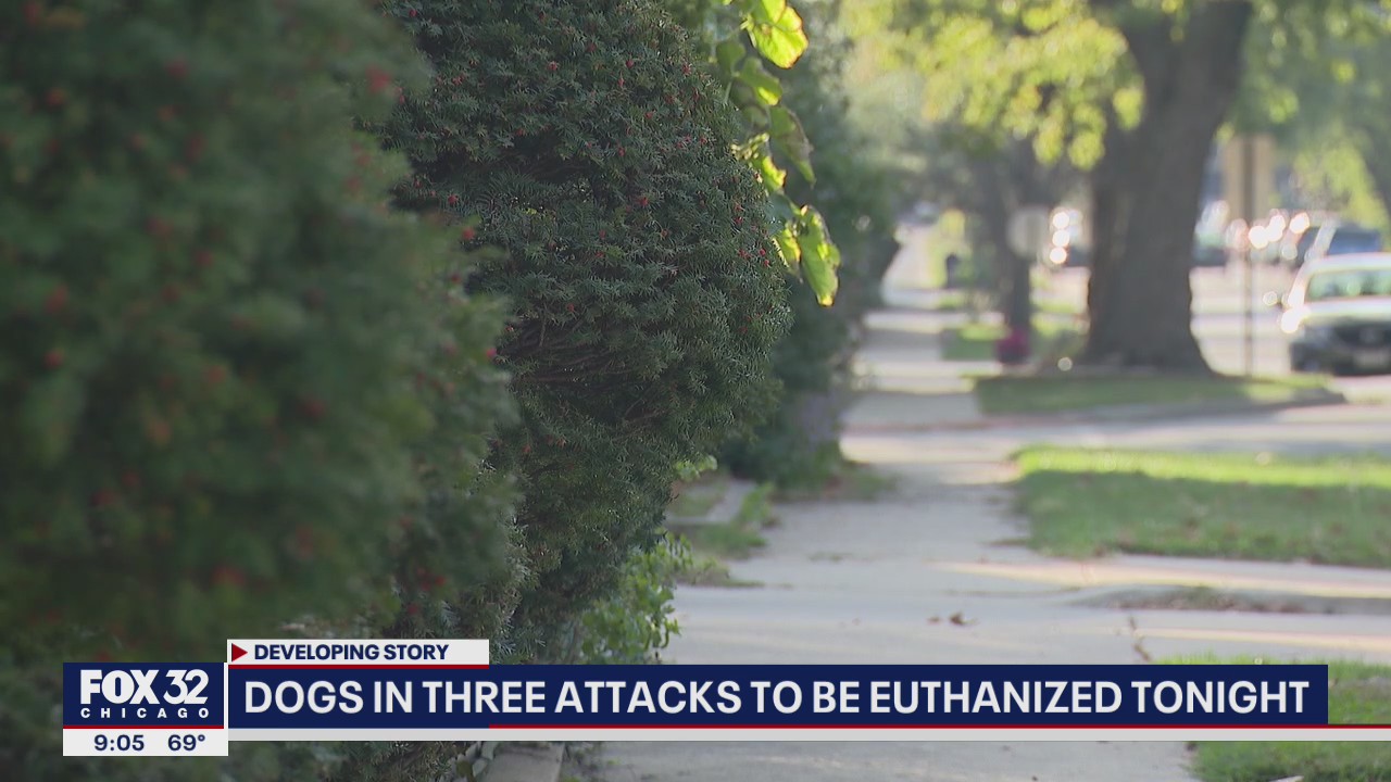 Dogs in 3 suburban attacks to be euthanized