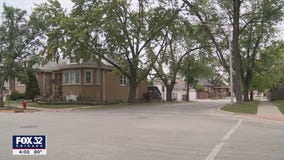 Dogs accused of multiple attacks in Chicago suburbs reportedly attack again