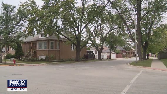 Dogs accused of multiple attacks in Chicago suburbs reportedly attack again