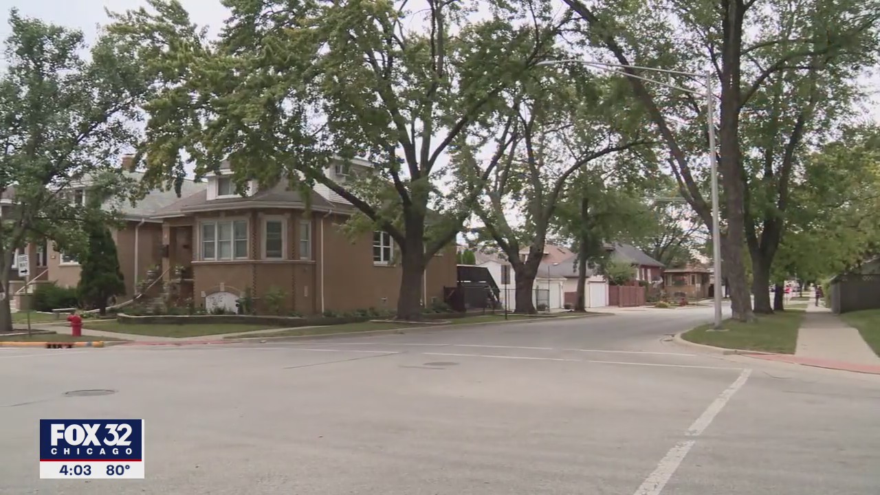 Dogs accused of multiple attacks in Chicago suburbs reportedly attack again